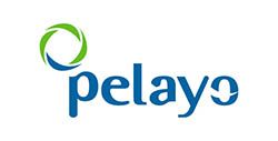 Inicio logo pelayo